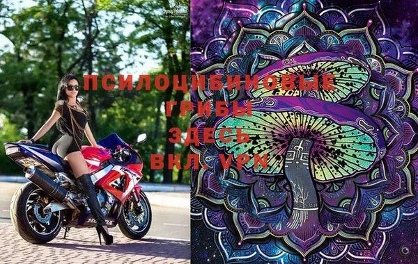 MDMA Premium VHQ Зеленокумск