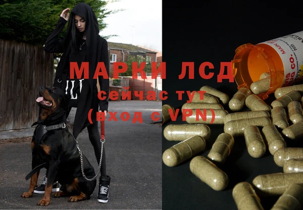 spice Зерноград