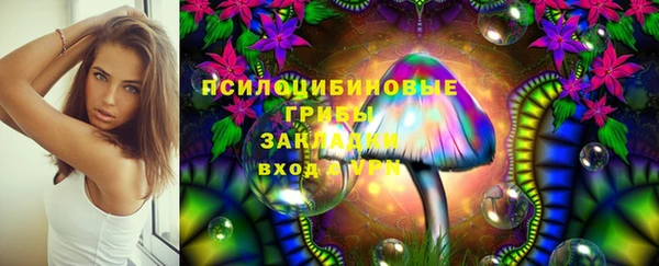 spice Зерноград