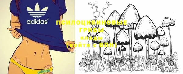 MDMA Premium VHQ Зеленокумск